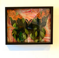 Butterfly Specimen No. 1