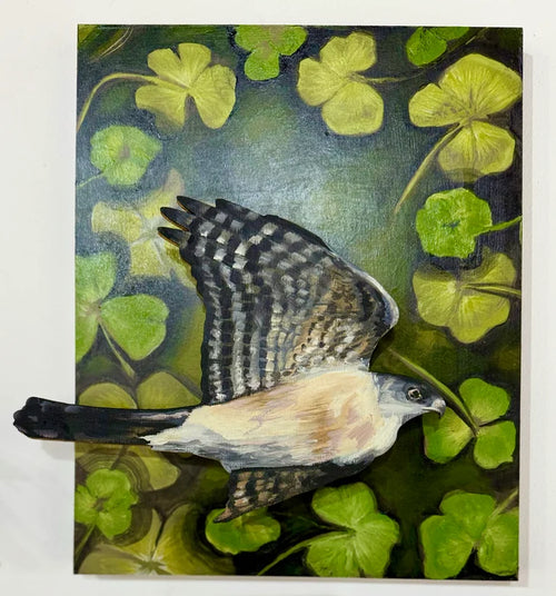 Birds Of A Feather: Field Hawk